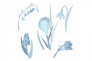 Цветочный принт