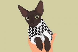 Портрет кошки