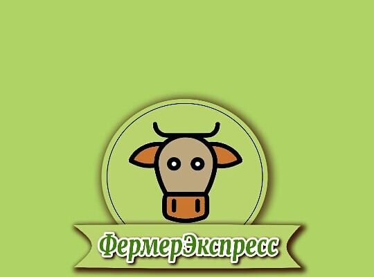 img4036032.png