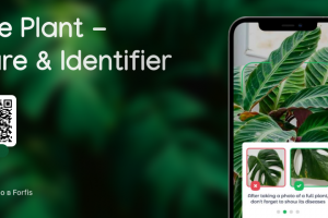 The Plant - Care & Identifier
