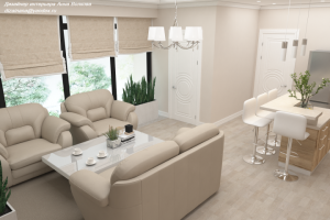 Кухня-гостиная в частном доме