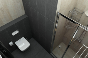 Санузел гостевой