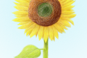 Работа 4169825