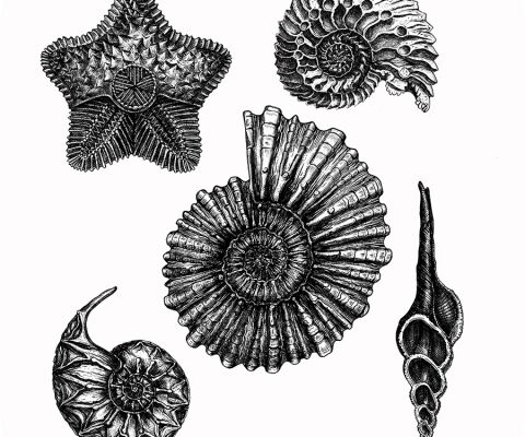 img4447197.png
