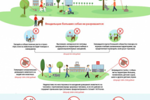 Инфографика для ЖКХ компании