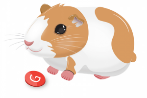 Морская свинка