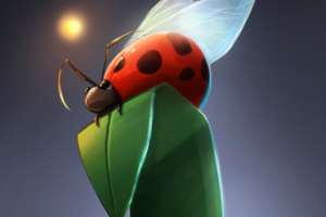 Божья коровка со светлячком