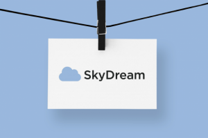 Логотип для магазина SKY DREAM на Wildberries