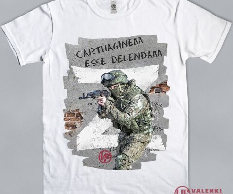 img4382436.png