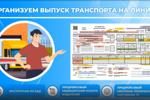 Инфографика ПредРейс