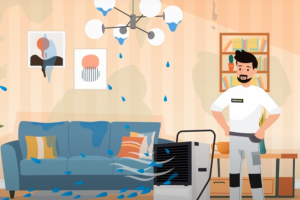 Анимационный 2д ролик для компании PROСУШКА.