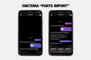 Система «Parts import»