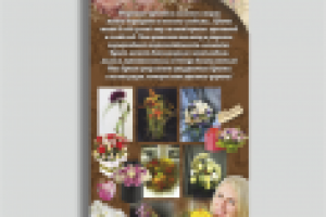 Флорентис флайер