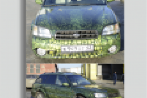 Аэрография вкруг на авто "Крокодил"