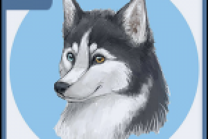 Хаски - ВКонтакте