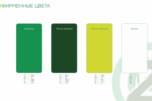 Логотип и брендбук