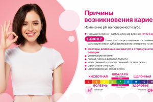 Презентация