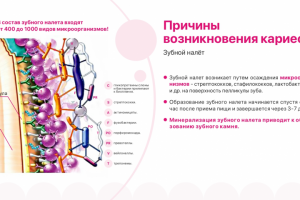 Презентация