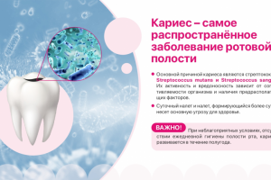 Презентация