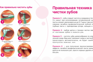 Презентация