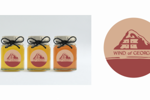 Логотип и фирменный стиль