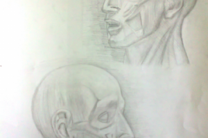 Мышечная голова