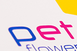 Логотип Petal