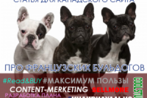 How to Adopt a Newborn