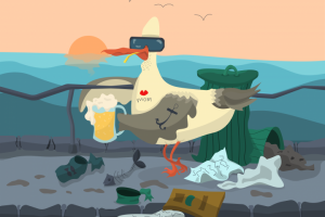 Чайка Стиви