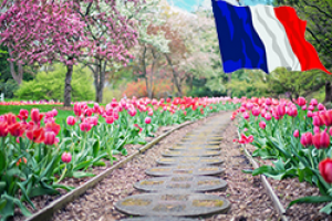 Перевод книги о садоводстве  с оформлением