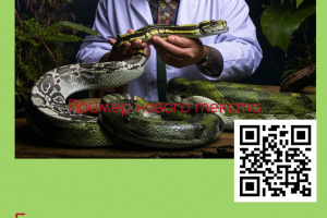 логотип для герпетолога