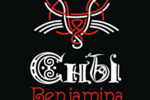 Фирменный стиль для музыкальной группы "Сны Бенджамина"