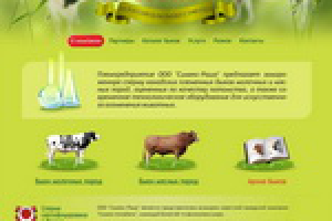 Проект сайта "Симекс-Раша"