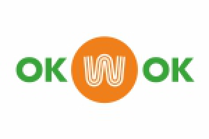 Лапша ручной работы "OkWok"