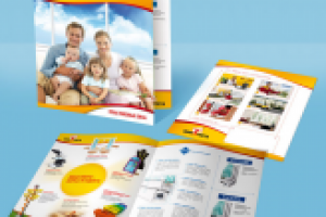 ОКНА РОСТА, рекламный буклет