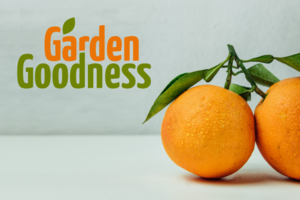 Garden Goodness