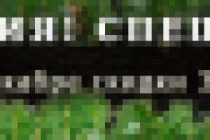 SmileSpa баннер 3