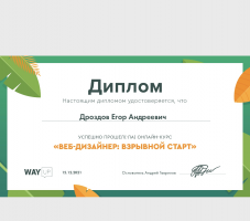 Диплом WAYUP за прохождение курса