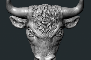 Bull