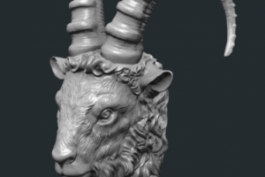 Mountain Goat Head