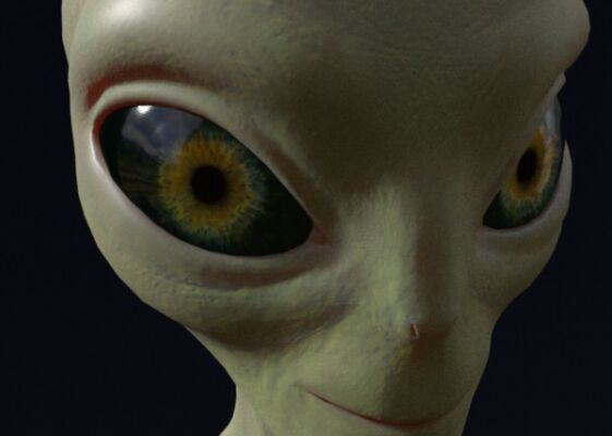 img3173931.png