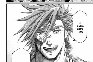 Монтаж и перевод манги