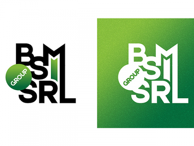 BSM SRL group logo