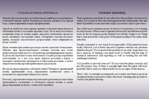 Стеблевая гниль растений (Перевод НА АНГЛИЙСКИЙ)