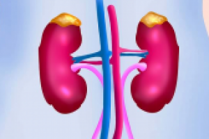 Болезни мочевыделительной системы (EN-RUS)