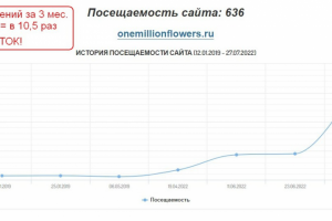 Рост посещений сайта за 3 мес. в 10,5 раза с 60 до 636