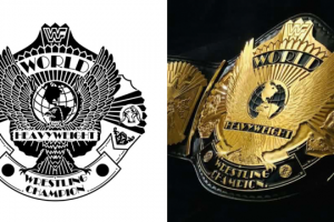 Векторная отрисовка эмблемы WWF по фото.