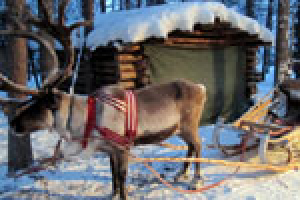 «Финляндия - всего 10 мест привлекают 87% туристов»