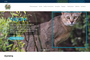 Питомник для элитных кошек
