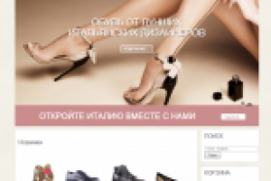 Еще один магазин на WordPress